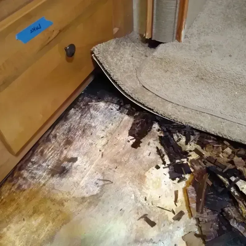 Best Wood Floor Water Damage Service in Heritage Lake, IL